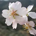 Casa Do Tablado - Foz Coa 빌라 노바 데 포즈코아