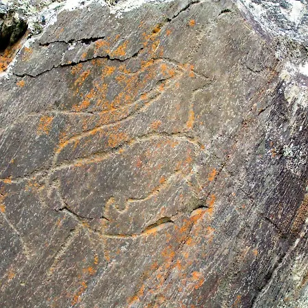 بيت للعطل Casa Do Tablado - Foz Coa