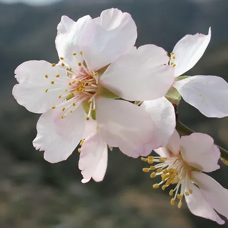 Casa Do Tablado - Foz Coa فيلا نوفا دي فوز كوا