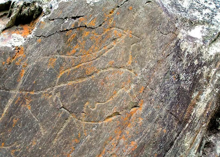 Feriehus Casa Do Tablado - Foz Coa