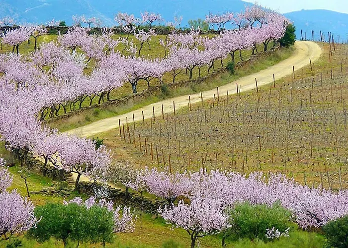 Casa Do Tablado - Foz Côa