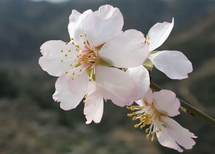 Casa Do Tablado - Foz Coa Vila Nova de Foz Côa